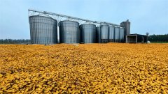 界粮食日的从题为“手拉手共倡多样美食